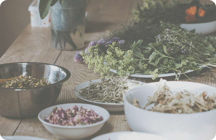Gyógynövények asztalon